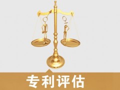 專(zhuān)利的價(jià)值評(píng)估，新手賣(mài)家必看