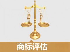 商標(biāo)的價(jià)值評(píng)估，新手賣(mài)家必看