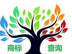 如何應(yīng)對(duì)商標(biāo)查詢盲期？